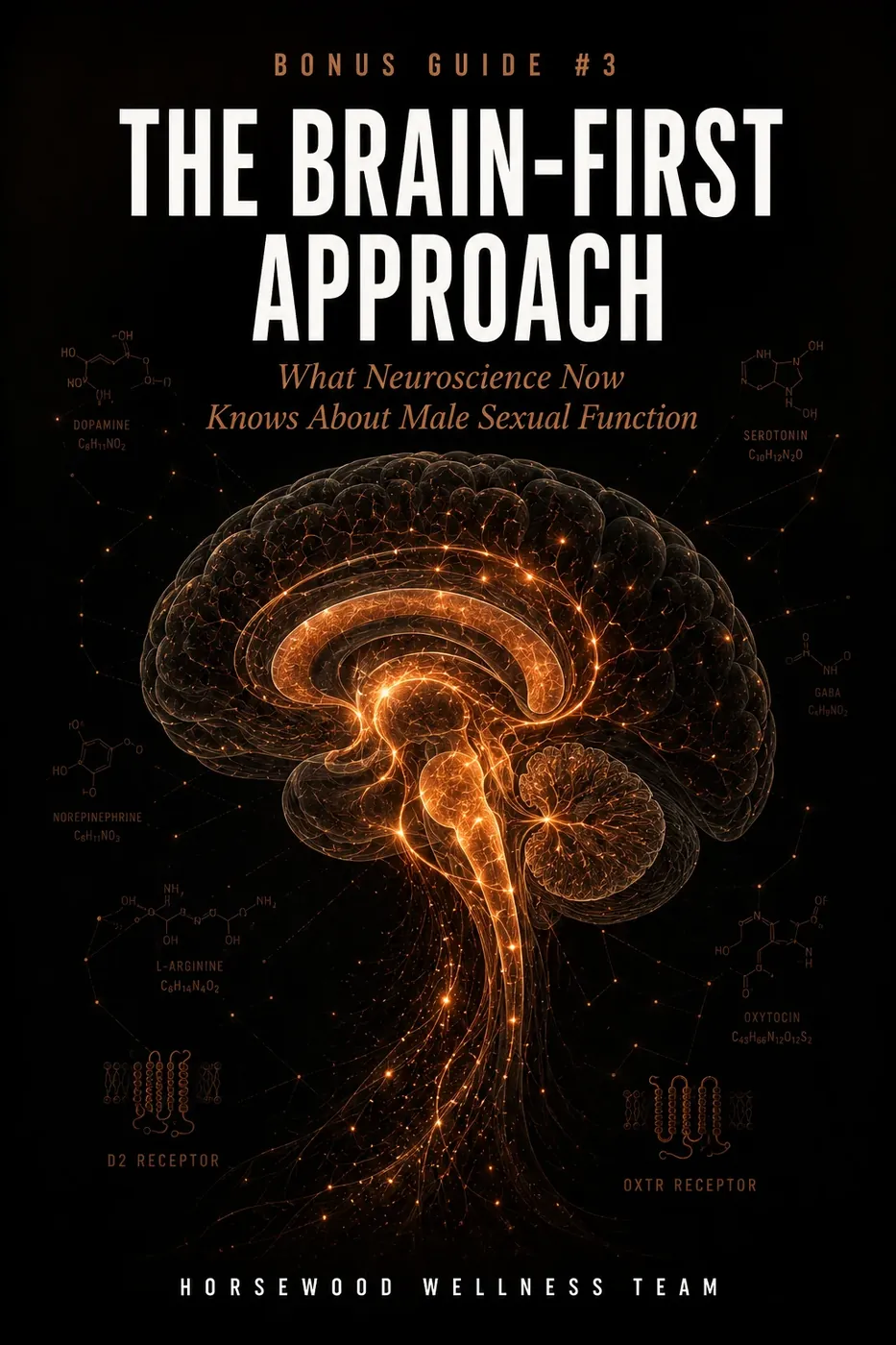 Horsewood bonus guide 3: The Brain-First Approach to male sexual function